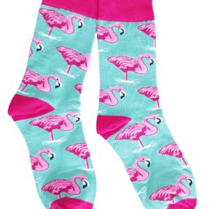 Flamingos