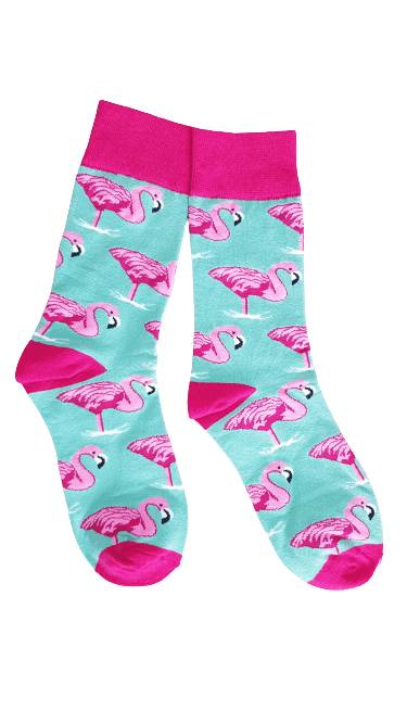 Collection animaux - Flamingos